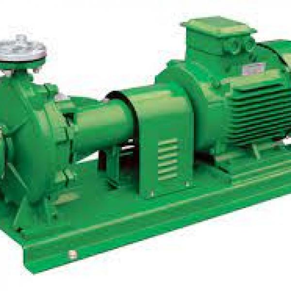 Pumps-2